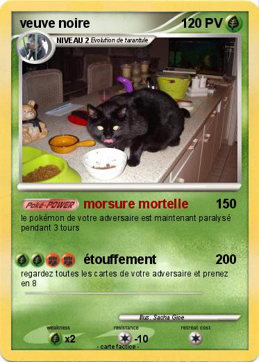 Pokemon veuve noire