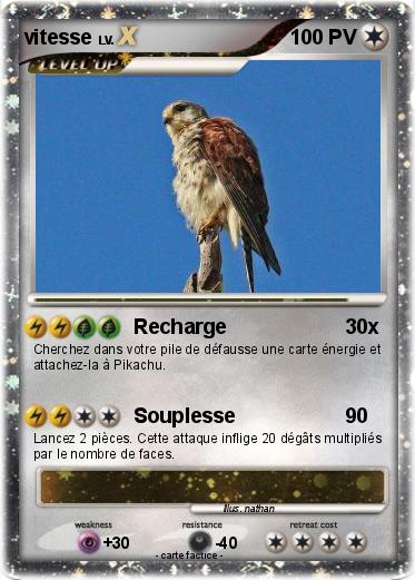 Pokemon vitesse