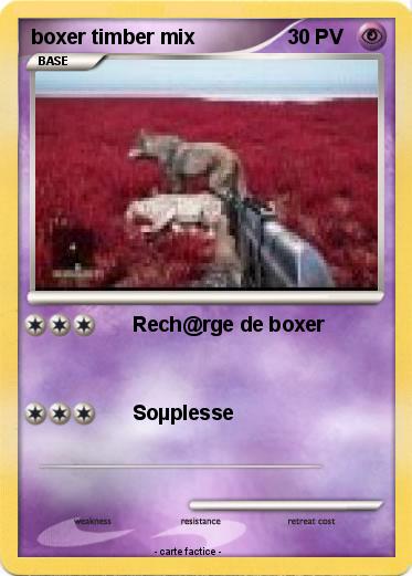 Pokemon boxer timber mix