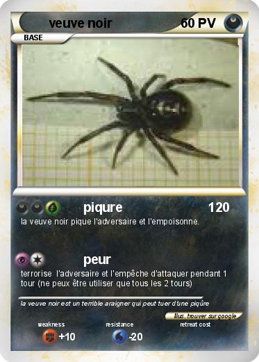Pokemon veuve noir