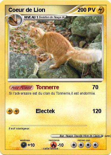Pokemon Coeur de Lion