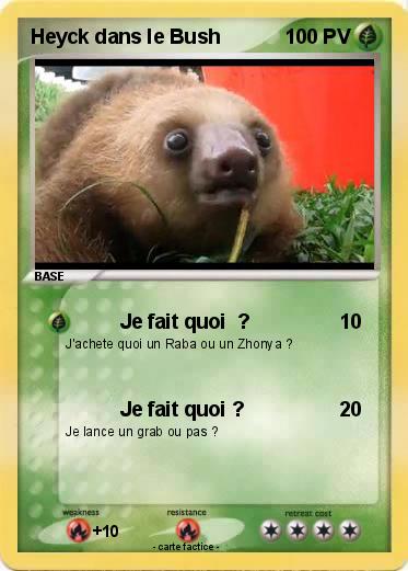 Pokemon Heyck dans le Bush