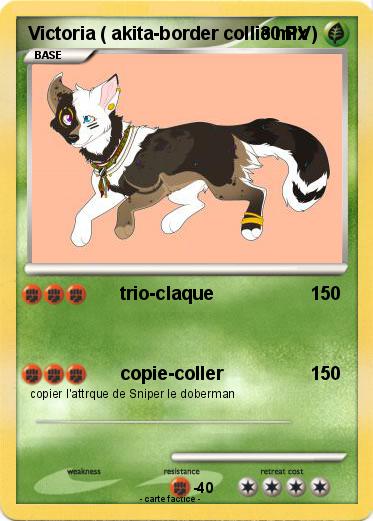 Pokemon Victoria ( akita-border collie mix )