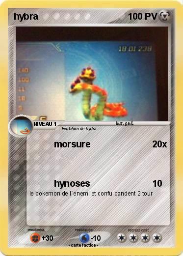 Pokemon hybra