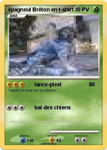 Pokemon épagneul Bréton en t-shirt