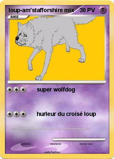 Pokemon loup-am'stafforshire mix