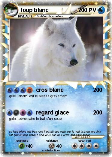 Pokemon Loup Blanc 37