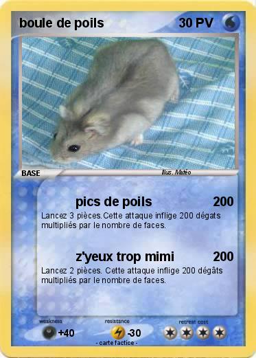 Pokemon boule de poils