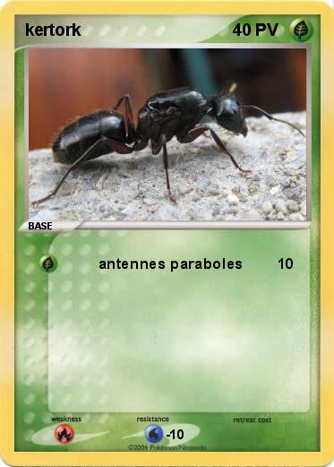 Pokemon kertork
