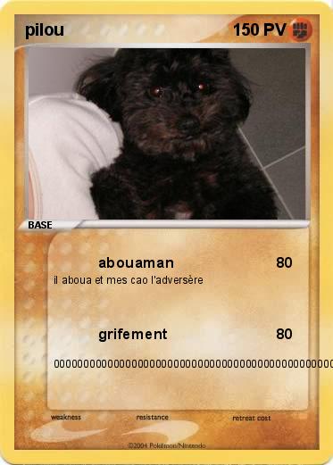 Pokemon pilou