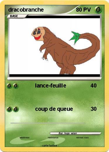 Pokemon dracobranche