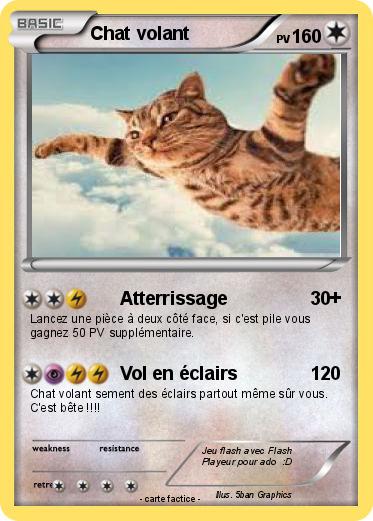 Pokemon Chat volant