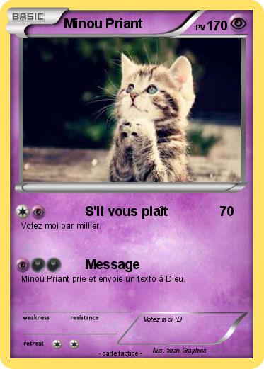 Pokemon Minou Priant