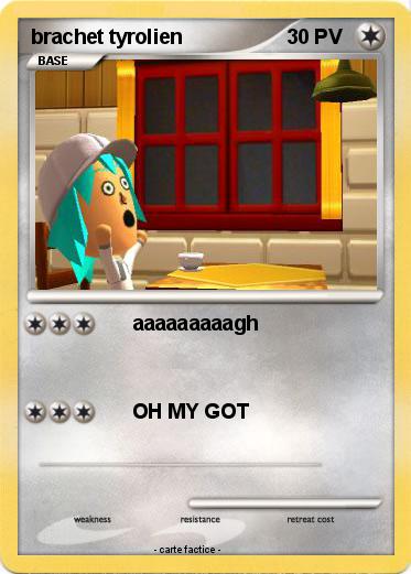 Pokemon brachet tyrolien