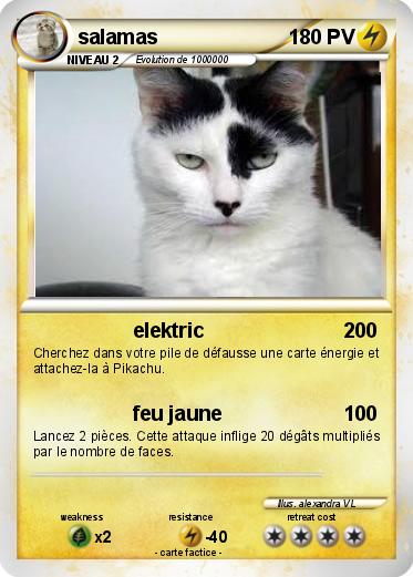 Pokemon salamas