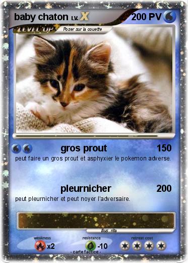 Pokemon baby chaton