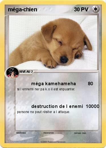 Pokemon méga-chien