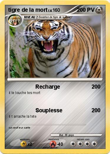 Pokemon tigre de la mort