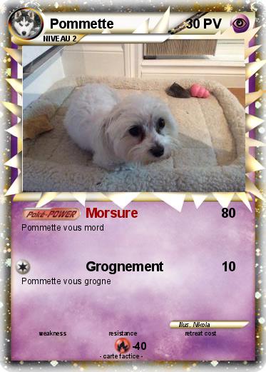 Pokemon Pommette
