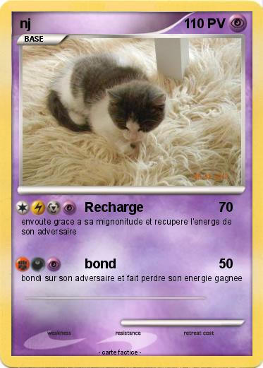 Pokemon nj