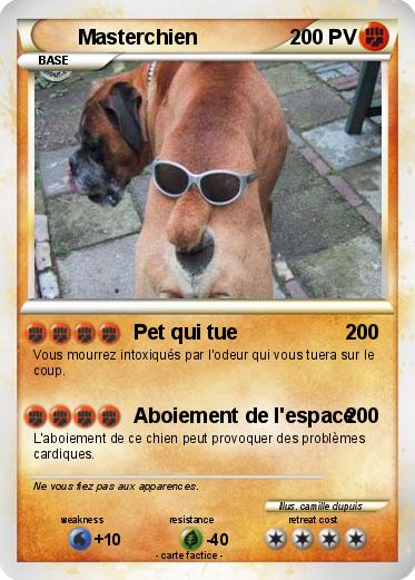 Pokemon Masterchien