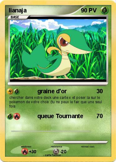 Pokemon lianaja