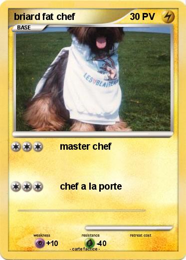 Pokemon briard fat chef
