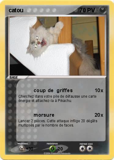 Pokemon catou
