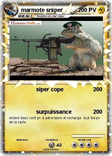 Pokemon marmote sniper