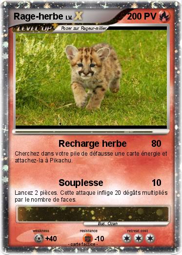 Pokemon Rage-herbe