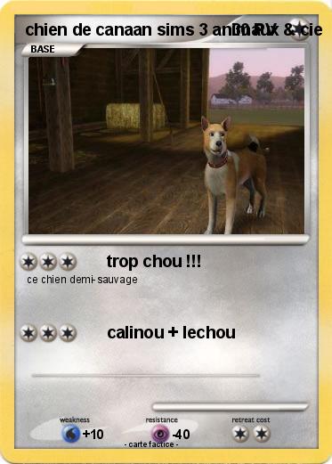Pokemon chien de canaan sims 3 animaux & cie