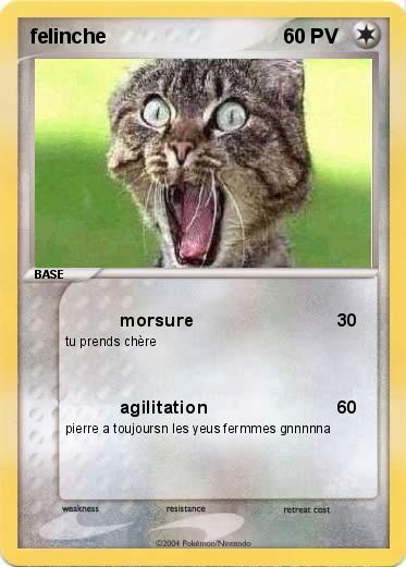 Pokemon felinche
