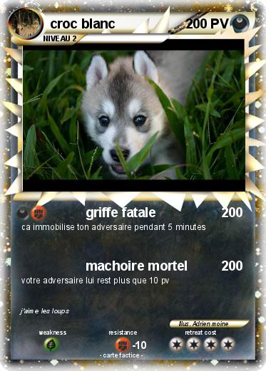 Pokemon croc blanc