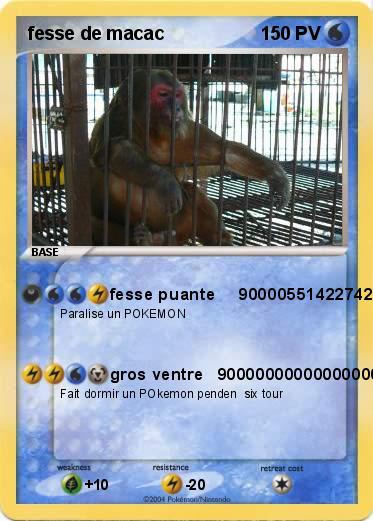 Pokemon fesse de macac 