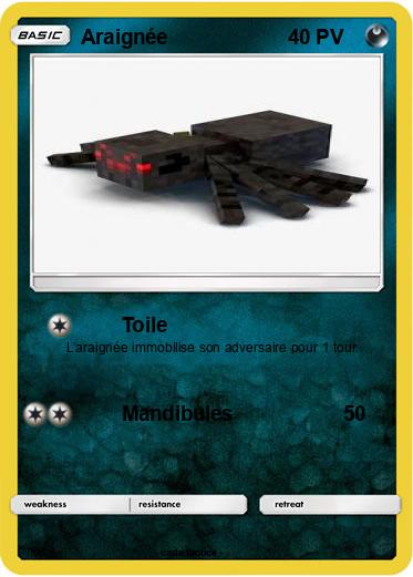 Pokemon Araignée