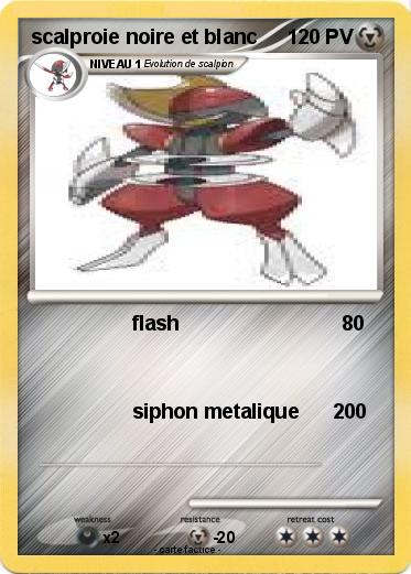 Pokemon scalproie noire et blanc