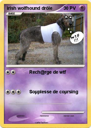 Pokemon irish wolfhound drôle