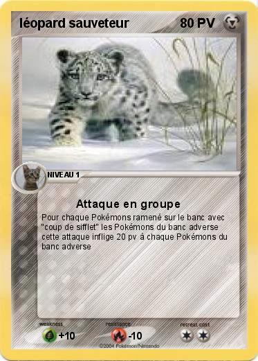 Pokemon léopard sauveteur