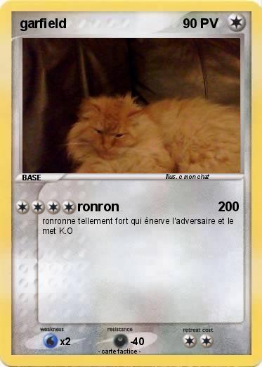 Pokemon garfield