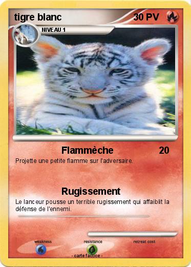 Pokemon tigre blanc