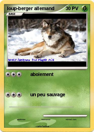 Pokemon loup-berger allemand