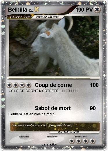 Pokemon Belbilla