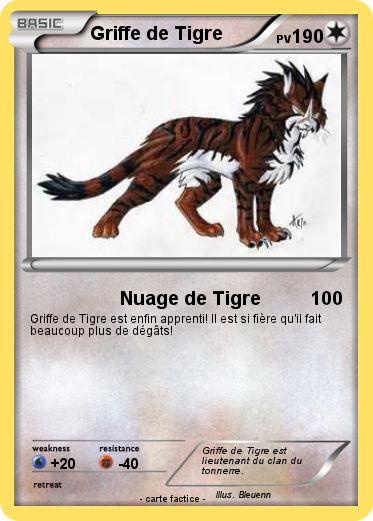 Pokemon Griffe de Tigre