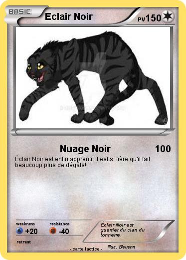 Pokemon Eclair Noir