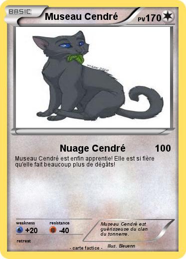 Pokemon Museau Cendré