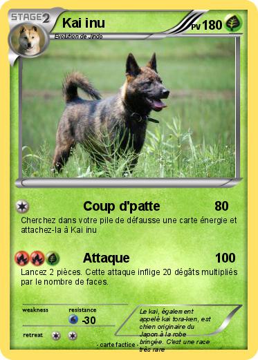 Pokemon Kai inu
