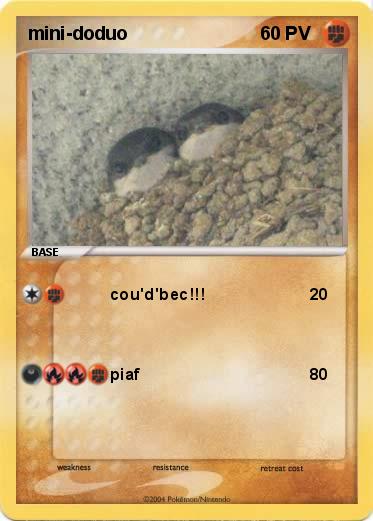 Pokemon mini-doduo