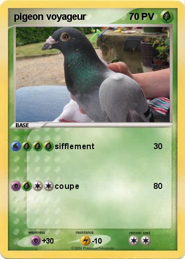 Pokemon pigeon voyageur