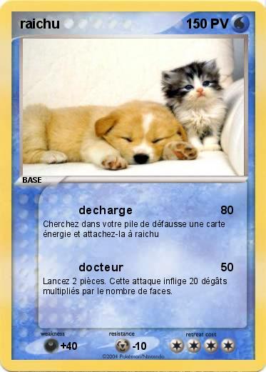 Pokemon raichu