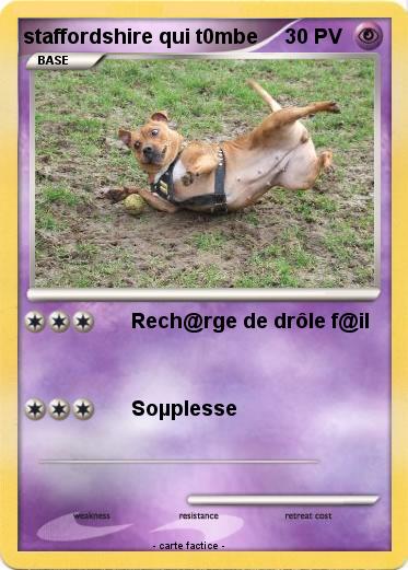 Pokemon staffordshire qui t0mbe